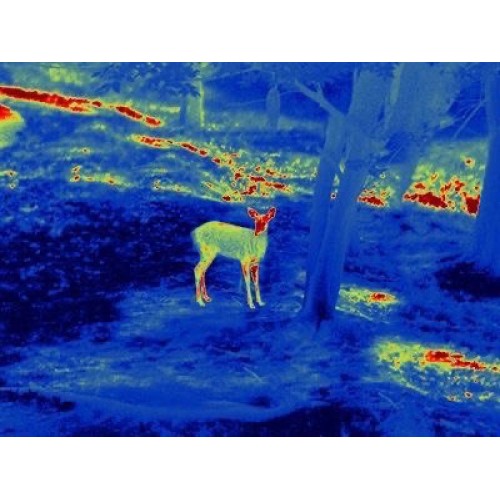 Прицел тепловизионный GUIDE TS450 в Орске